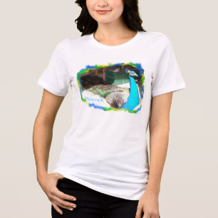 T-shirt En Tri-matière Paon mâle prenant un bain de soleil
