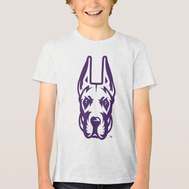 T-shirt En Tri-matière Université d'Albany Chef de la mascotte Great Dane (Recto)