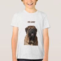 Vacances Mastiff Mastiff Anglais
