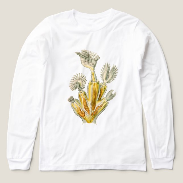 T-shirt En Tri-matière Vintage Ernst Haeckel (Motif recto)