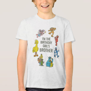 T-shirt En Tri-matière Vintage Personnages de Sesame Street Tri-Blen Anni