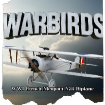 WWI French Nieuport N.24 Biplane