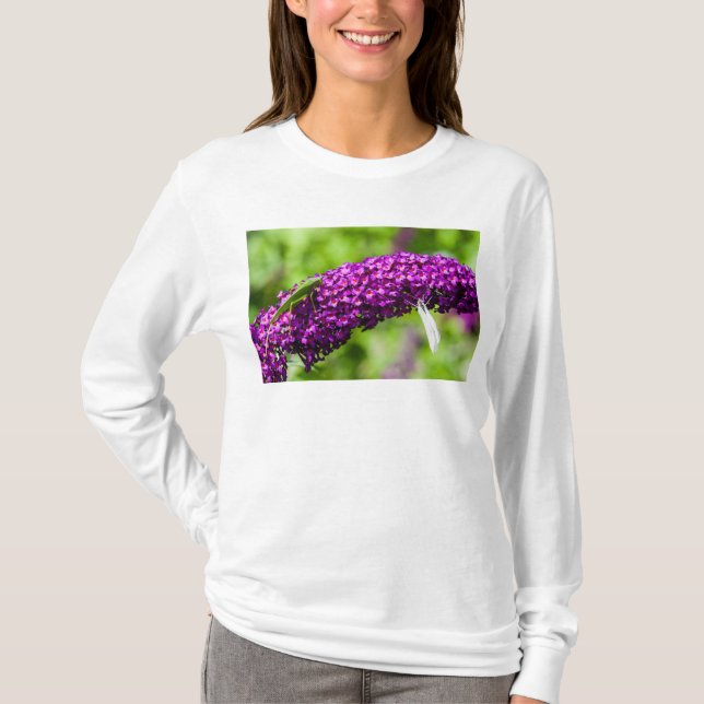 T-shirt énergie katydone (Devant)