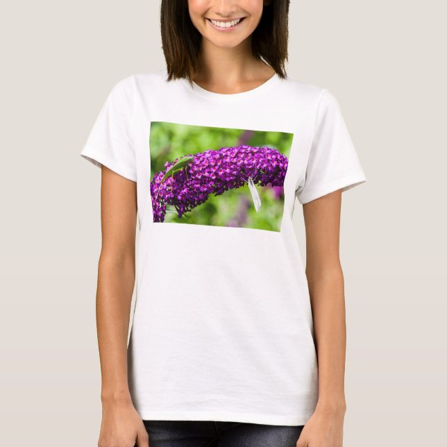 T-shirt énergie katydone (Devant)
