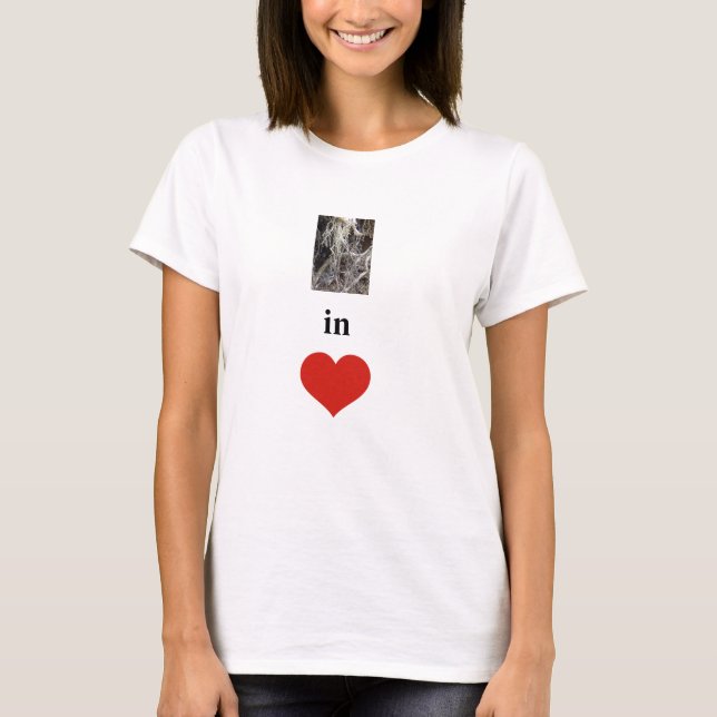 T-shirt Enraciné dans l'amour (Devant)