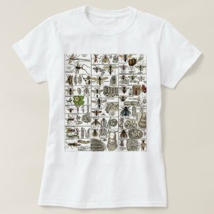 T-shirt Entomologie vintage