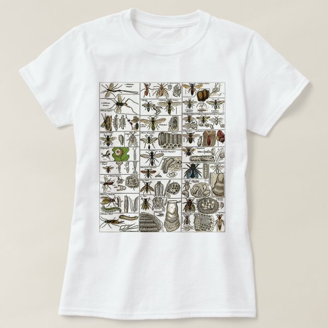 T-shirt Entomologie vintage (Design devant)