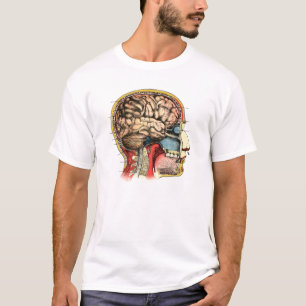 T-shirt Épine cervicale de crâne d'esprit humain