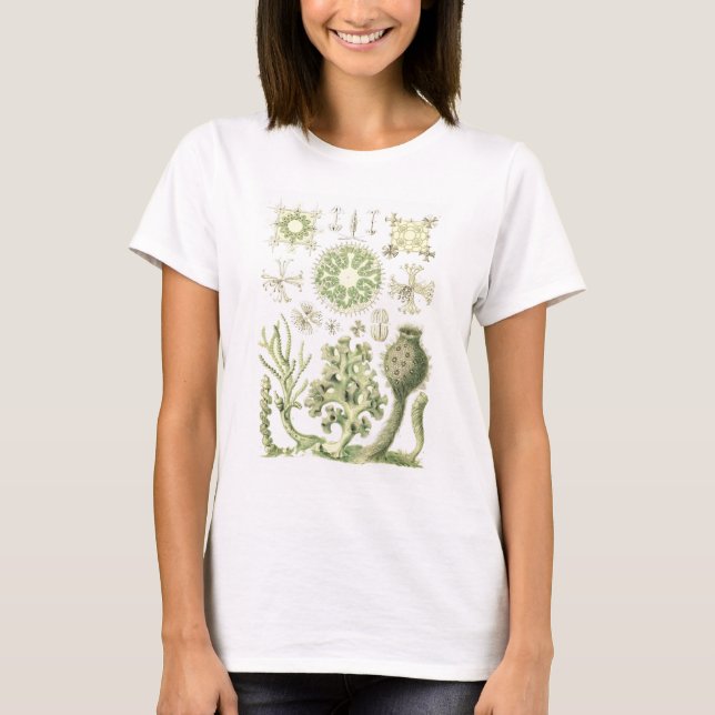 T-shirt Éponges en verre (Devant)
