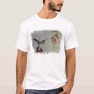T-shirt Équateur, Tandayapa Bird Lodge. Rufalé