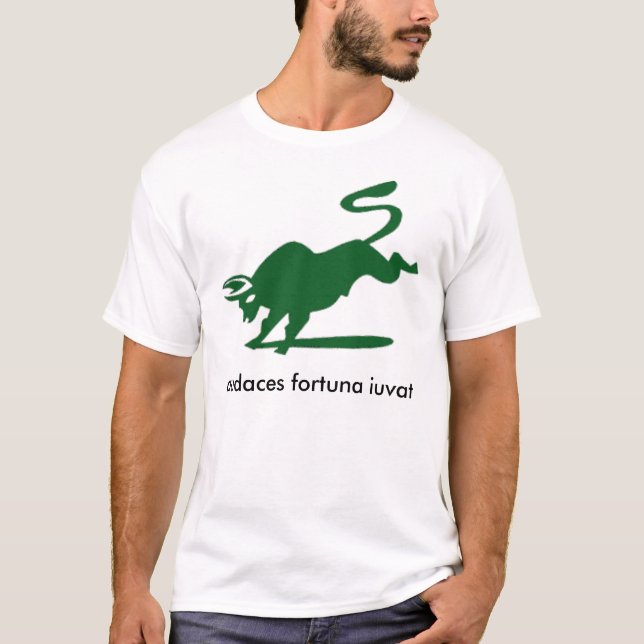 T-shirt Équipe 5 de l'exécutif 2010 de Darden MBA (Devant)