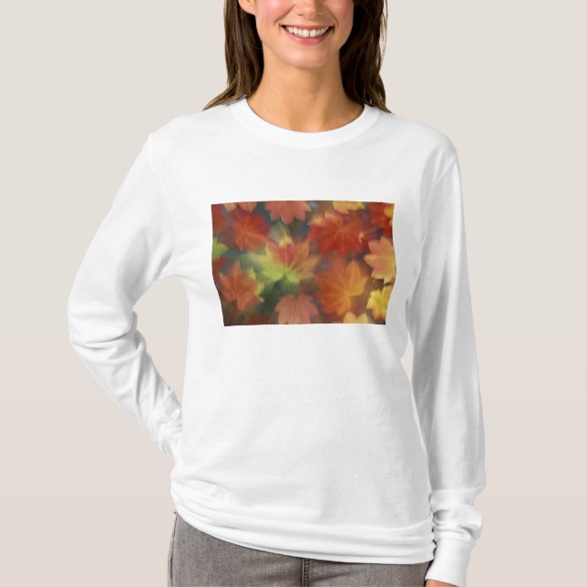 T-shirt Érable à feuilles de vigne (Devant)