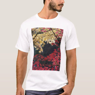 T-shirt Érables en couleur d'automne