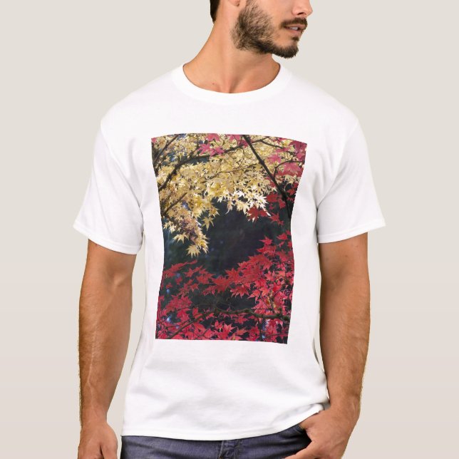 T-shirt Érables en couleur d'automne (Devant)