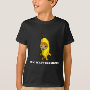 T-shirt Erm, Quel Sigma_ Mème de Chat Hommes Femmes Filles