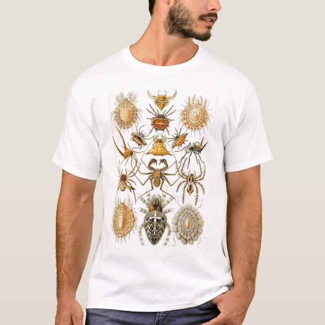 T-shirt Ernst Haeckel - arachnides (Devant)