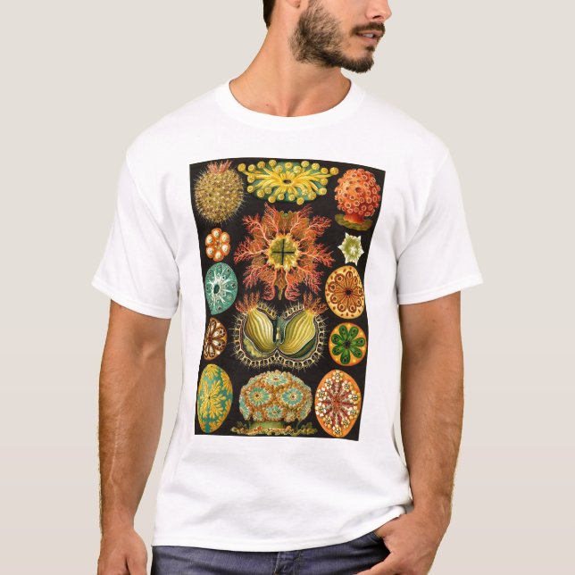 T-shirt Ernst Haeckel - Ascidiae (Devant)