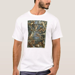 T-shirt Ernst Haeckel - Batrachia