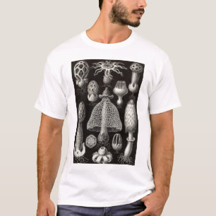 T-shirt Ernst Haeckel - champignons de Basimycetes