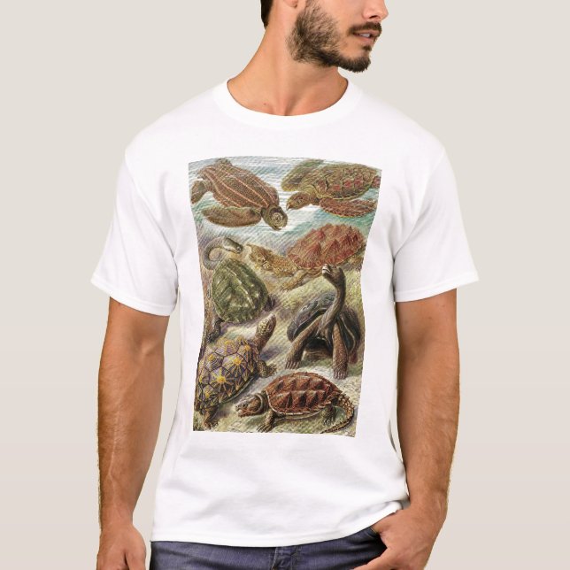 T-shirt Ernst Haeckel - Chelonia (Devant)