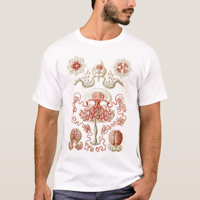 T-shirt Ernst Haeckel - méduses d'Anthomedusae (Devant)