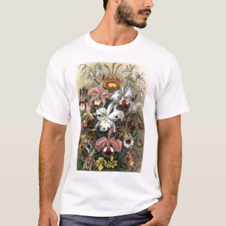 T-shirt Ernst Haeckel - Orchideae