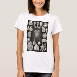 T-shirt Ernst Haeckel Thalamphora