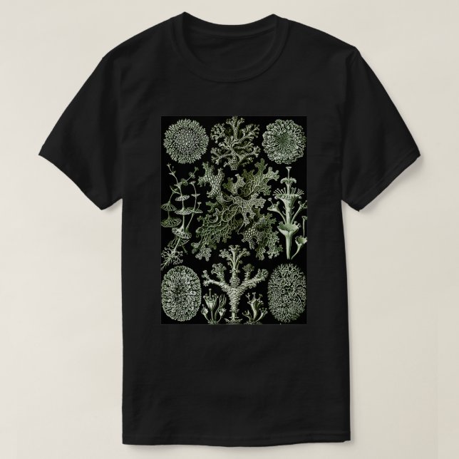T-shirt Ernst Haeckel Vintage Illustration biologique Lich (Design devant)