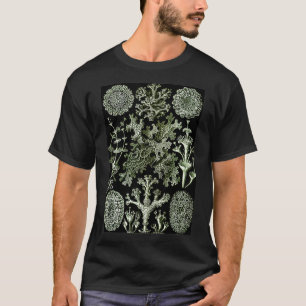 T-shirt Ernst Haeckel Vintage Illustration biologique Lich
