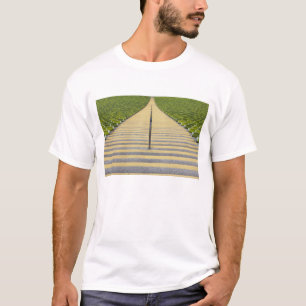 T-shirt Escalier de stade entre les rangées des sièges