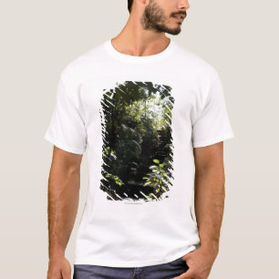 T-shirt Escalier/sentier piéton rustiques dans la forêt,
