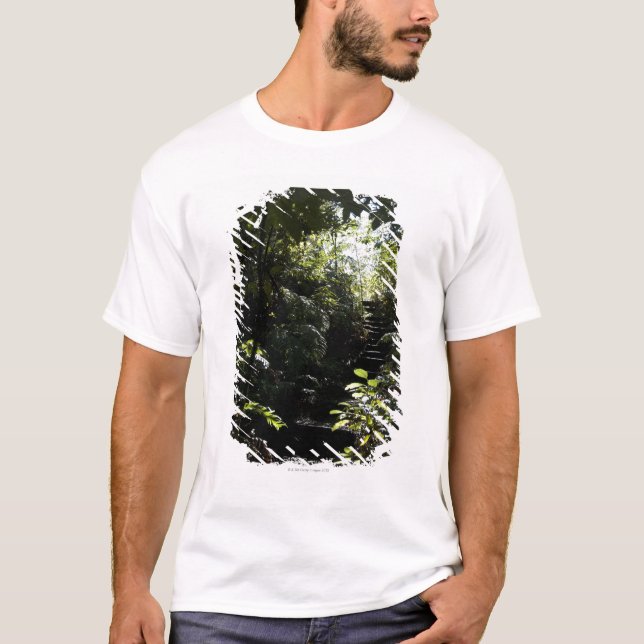 T-shirt Escalier/sentier piéton rustiques dans la forêt, (Devant)