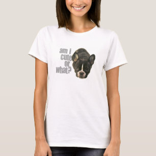 T-shirt est-ce que je suis mignon ou ce qui ?