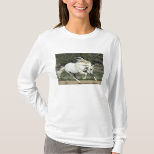 T-shirt Étalon andalou en course, PR
