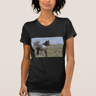 T-shirt Étalon est de Douglas/Piceance HMA