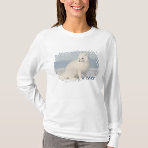 T-shirt États-Unis, Alaska, 1002 Plaine côtière de l'Arcti
