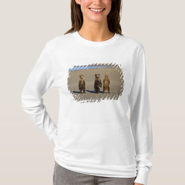 T-shirt États-Unis. Alaska. Oursons brun côtiers (Devant)
