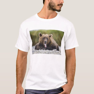 T-shirt États-Unis, Alaska, Parc national de Katmai, baie 