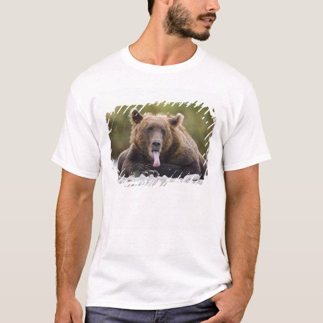 T-shirt États-Unis, Alaska, Parc national de Katmai, baie  (Devant)