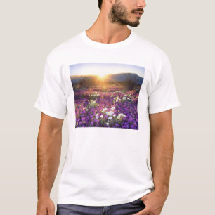 T-shirt États-Unis, Californie, Anza-Borrego Desert State 