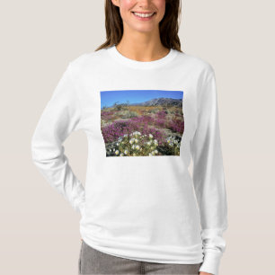T-shirt États-Unis, Californie, Anza-Borrego DSP. Soirée d