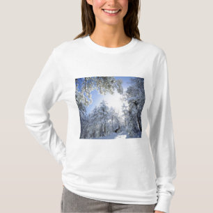 T-shirt États-Unis, Californie, Cleveland National Forest,