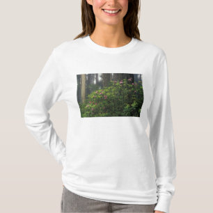 T-shirt États-Unis, Californie, Del Norte, Redwoods St. Pa