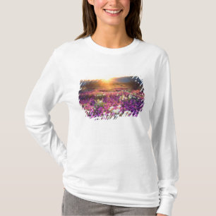 T-shirt États-Unis, Californie, Parc d'État du désert d'An