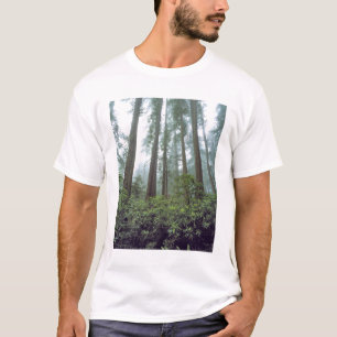 T-shirt États-Unis, Californie, Parc national de Redwood.