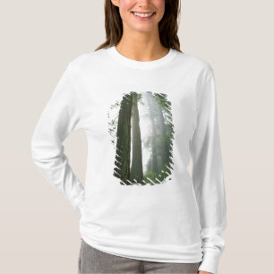 T-shirt États-Unis, Californie, Parc national de Redwood,