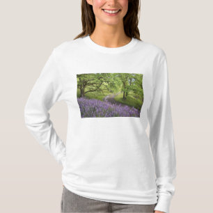 T-shirt États-Unis, Californie, Parc national de Redwood.
