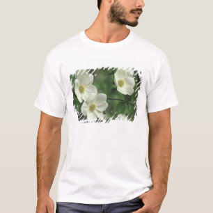 T-shirt États-Unis, Californie, Parc national de Yosemite,