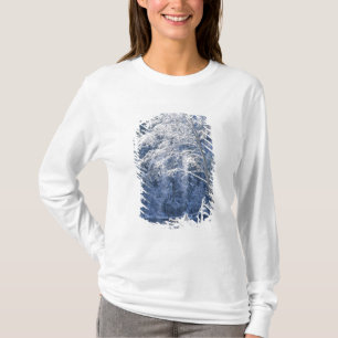 T-shirt États-Unis, Californie, Parc national de Yosemite