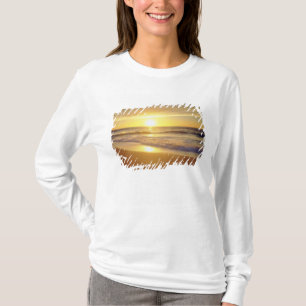 T-shirt États-Unis, Californie, San Diego. La Jolla Shores